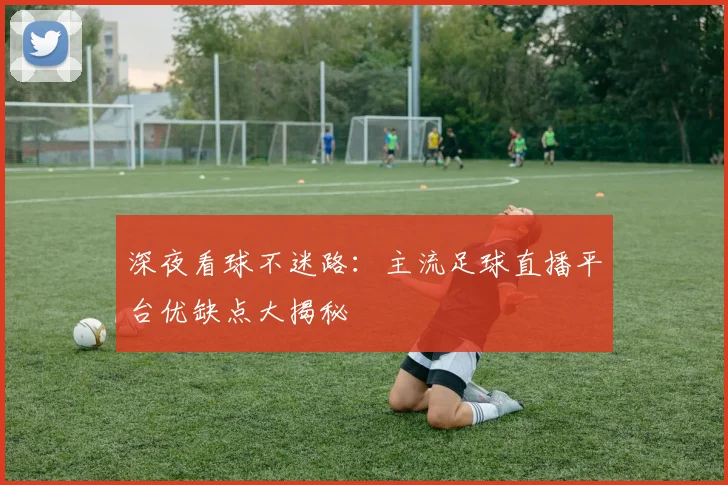 深夜看球不迷路:主流足球直播平台优缺点大揭秘
