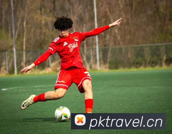 beat365官方网站入口服务体系